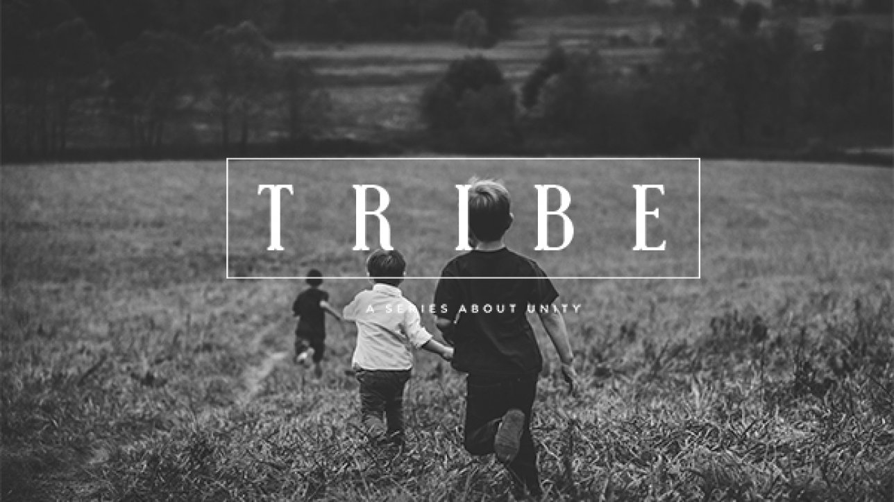 Tribe Message Series on Unity