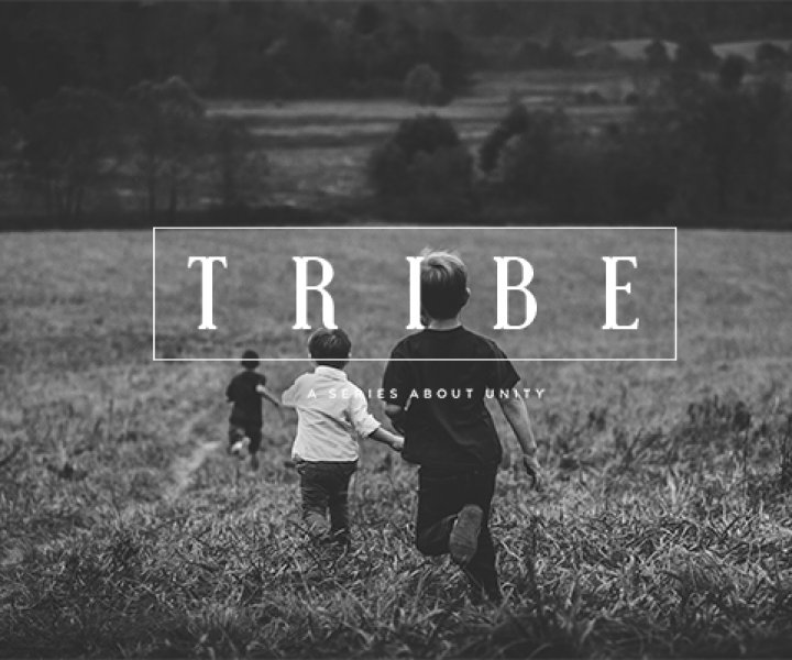 Tribe Message Series on Unity